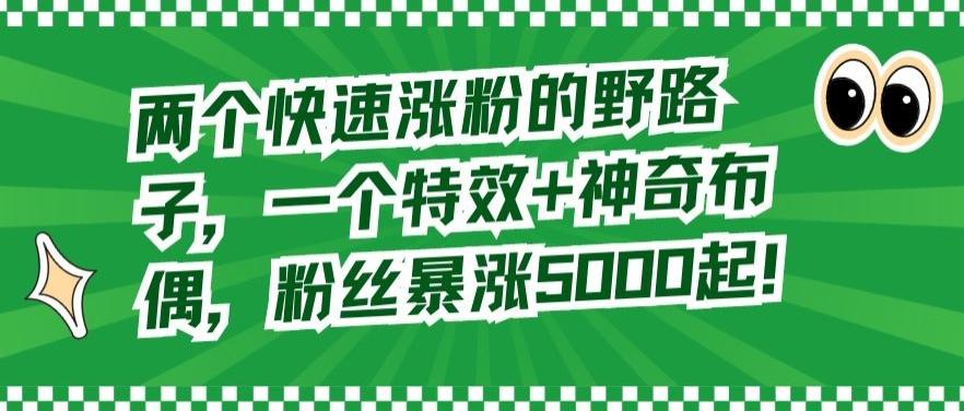 两个快速涨粉的野路子，一个特效+神奇布偶，粉丝暴涨5000起【揭秘】-百货大全
