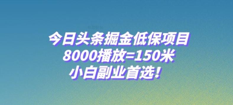 今日头条掘金低保项目，8000播放=150米，小白副业首选【揭秘】-百货大全