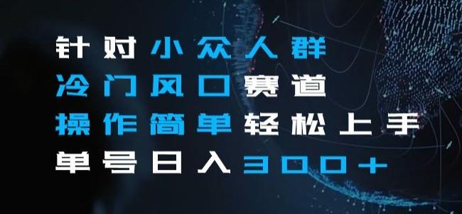 针对小众人群冷门风口赛道，操作简单轻松上手单号日入300+-百货大全