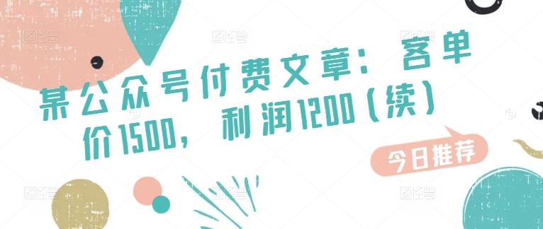 某公众号付费文章：客单价1500，利润1200(续)，市场几乎可以说是空白的-百货大全