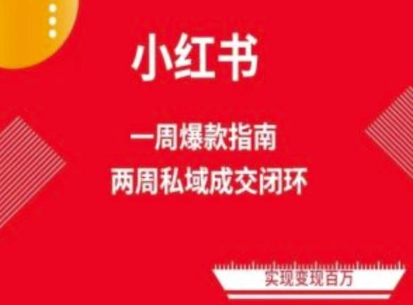 爆款小红书免费流量体系课程(两周变现)，小红书电商教程-百货大全