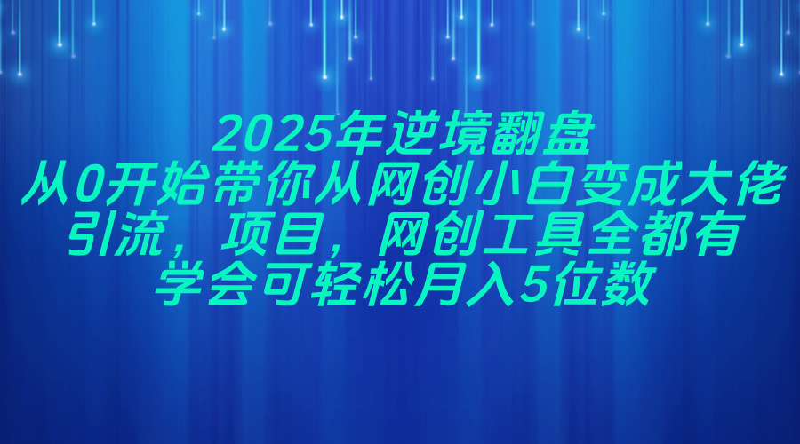 2025年逆境翻盘，从0开始带你从网创小白变成大佬，引流，项目，网创工...-百货大全