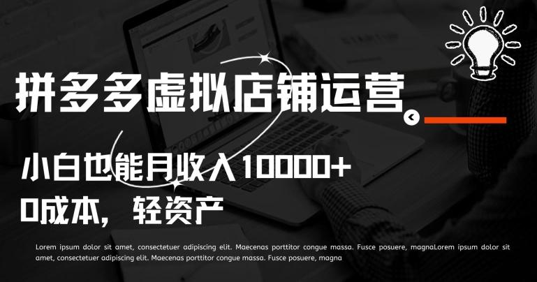 拼多多虚拟店铺运营小白也能月收入10000+【揭秘】-百货大全