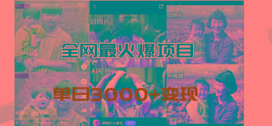 全网爆火的AI让老照片动起来教程，蹭热点日赚3000+，内含免费工具一键…-百货大全