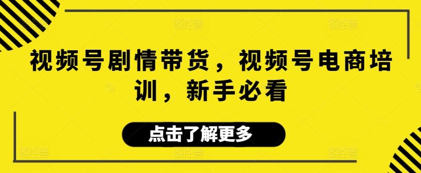 视频号剧情带货，视频号电商培训，新手必看-百货大全