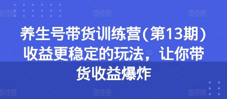 养生号带货训练营(第13期)收益更稳定的玩法，让你带货收益爆炸-百货大全