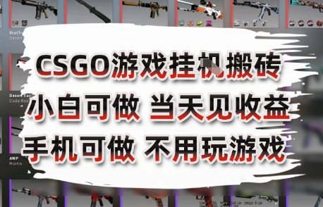 CSGO游戏挂G搬砖，小白纯手机即可操作，不用电脑打游戏，日入3张+，副业网创项目【揭秘】-百货大全