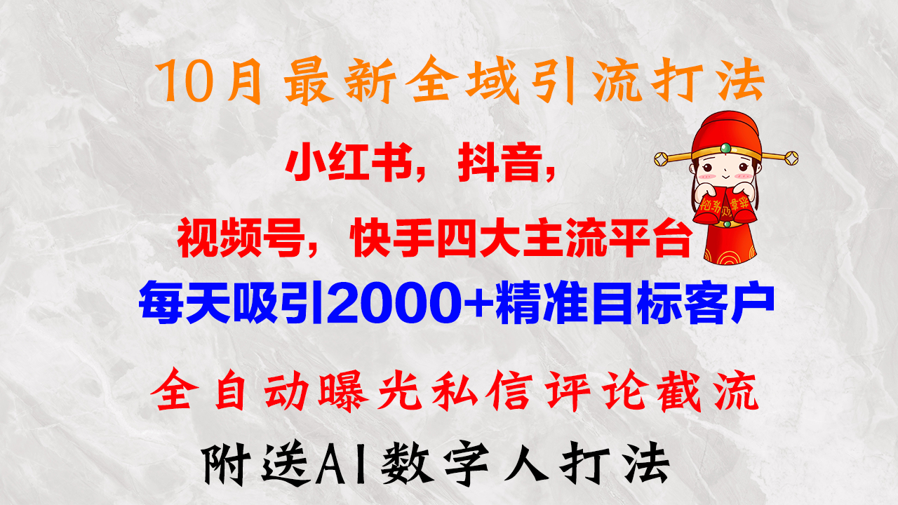 10月最新小红书，抖音，视频号，快手四大平台全域引流，，每天吸引2000…-百货大全
