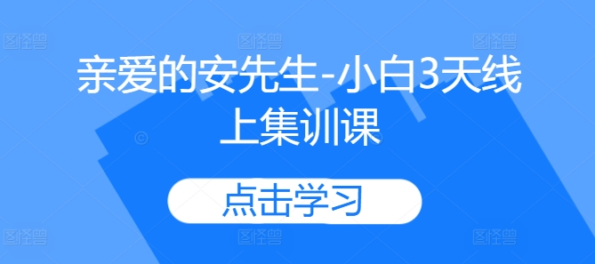 亲爱的安先生-小白3天线上集训课-百货大全