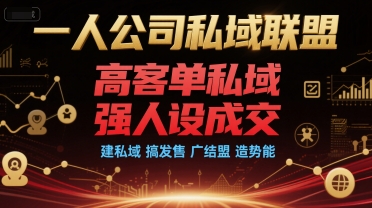 一人公司私域联盟，高客单私域，强人设成交，建私域 搞发售 广结盟 造势能-百货大全