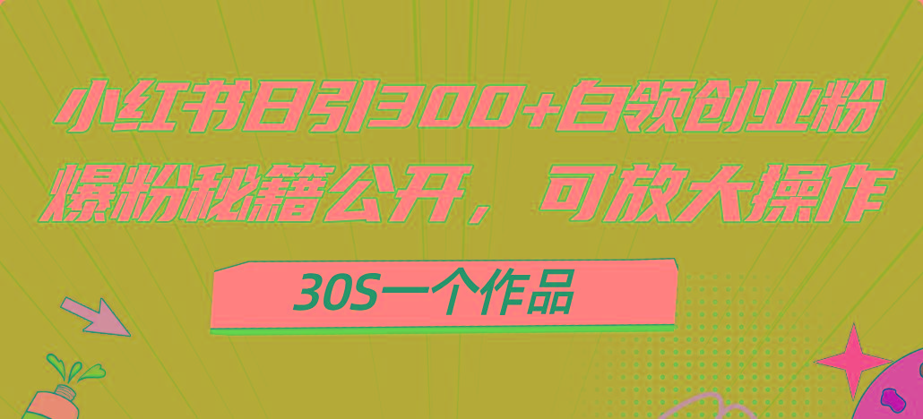 小红书日引300+高质白领创业粉，可放大操作，爆粉秘籍！30s一个作品-百货大全