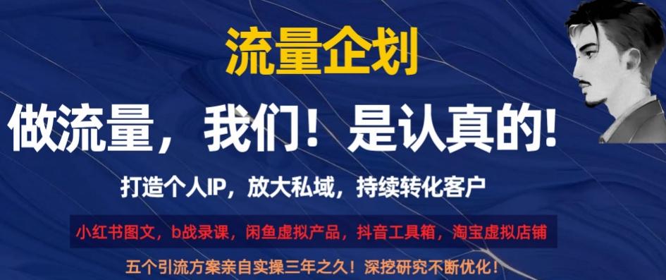 流量企划，打造个人IP，放大私域，持续转化客户【揭秘】-百货大全