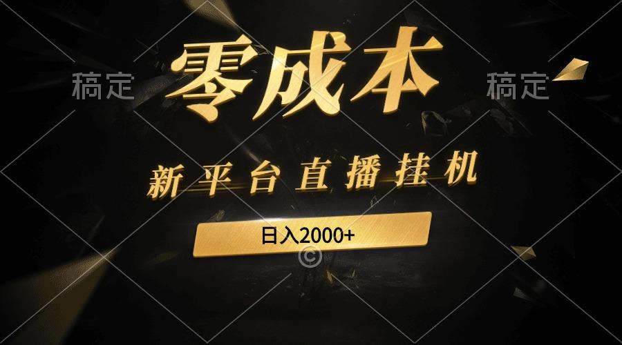 (9841期)新平台直播挂机最新玩法，0成本，不违规，日入2000+-百货大全