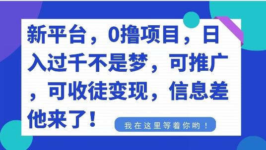 不要再花冤枉钱了，0撸项目，每天坚持，稳定1000+-百货大全