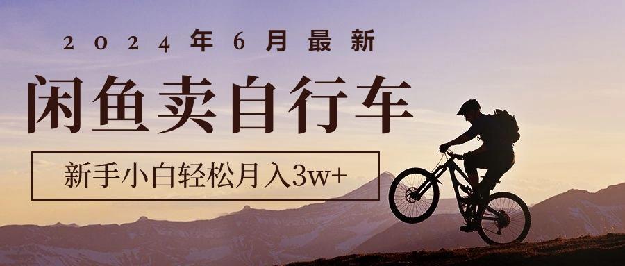 2024年6月最新闲鱼卖自行车，新手小白轻松月入3w+项目-百货大全