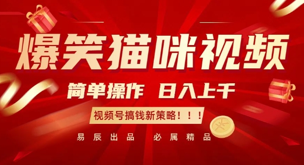 爆笑猫咪视频：简单操作，日入过K，视频号搞钱新策略【揭秘】-百货大全