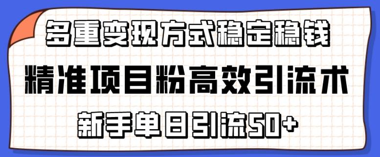 精准项目粉高效引流术，新手单日引流50+，多重变现方式稳定赚钱【揭秘】-百货大全