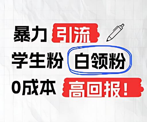 暴力引流学生粉白领粉,吊打以往垃圾玩法,0成本,高回报-百货大全