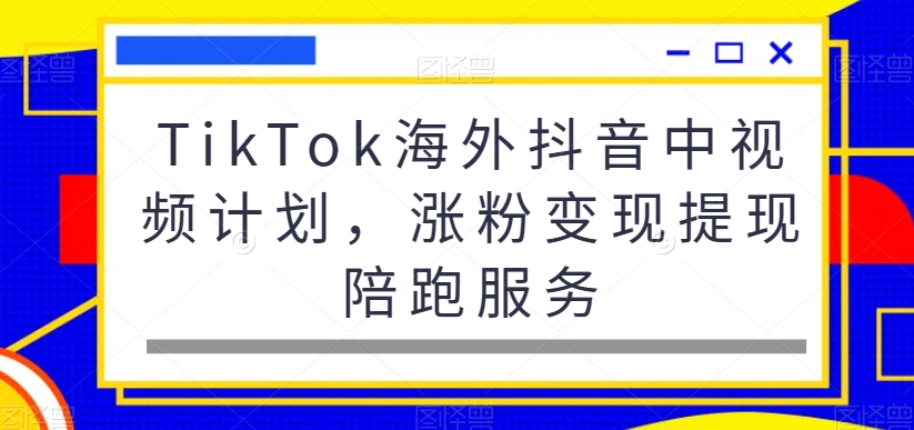 TikTok海外抖音中视频计划，涨粉变现提现陪跑服务-百货大全