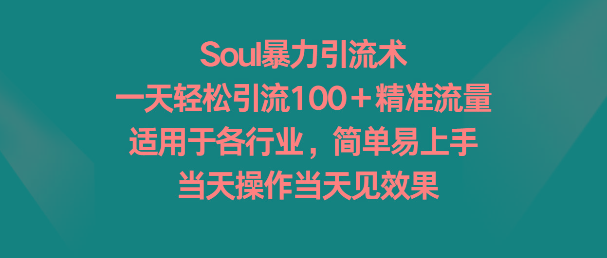 Soul暴力引流术，一天轻松引流100＋精准流量，适用于各行业，简单易上手！-百货大全