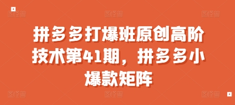 拼多多打爆班原创高阶技术第41期，拼多多小爆款矩阵-百货大全