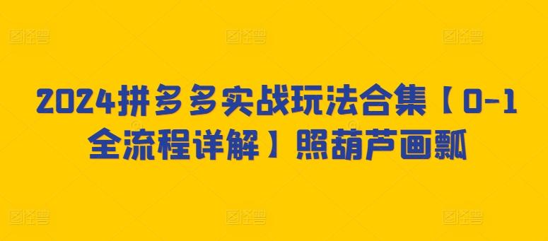 2024拼多多实战玩法合集【0-1全流程详解】照葫芦画瓢-百货大全