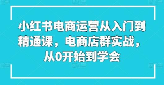 小红书电商运营从入门到精通课，电商店群实战，从0开始到学会-百货大全