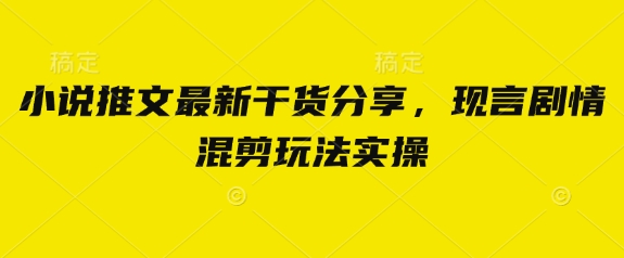 小说推文最新干货分享，现言剧情混剪玩法实操-百货大全