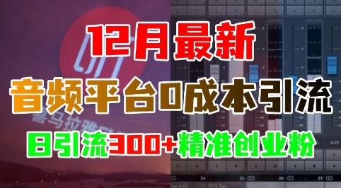 12月最新：音频平台0成本引流，日引流300+精准创业粉-百货大全