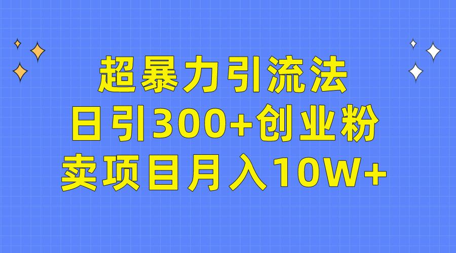 (9954期)超暴力引流法，日引300+创业粉，卖项目月入10W+-百货大全