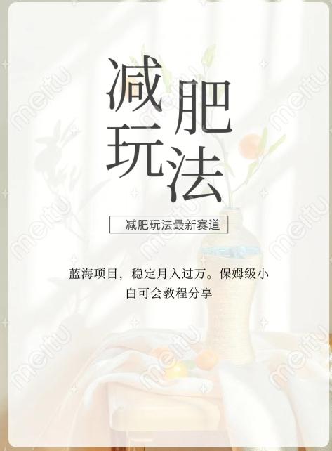 减肥流量主新玩法，轻松月入1W，可矩阵操作收入翻倍-百货大全