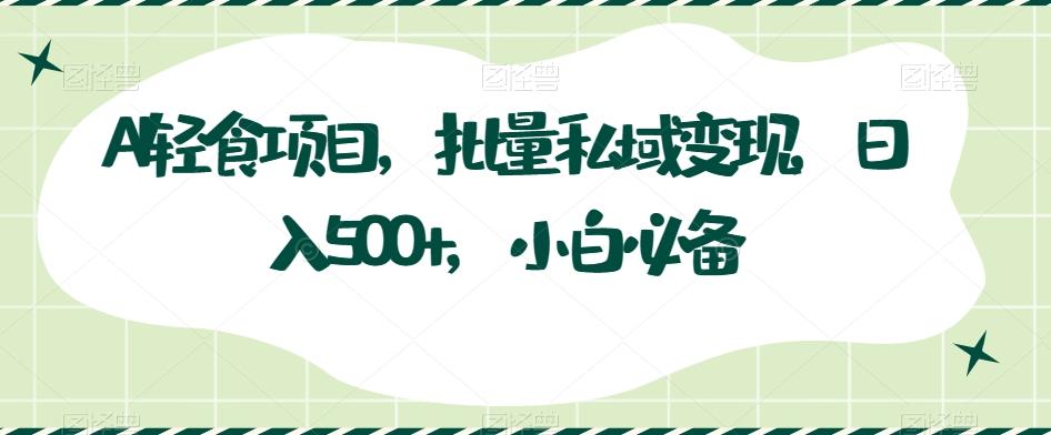 AI轻食项目，批量私域变现，日入500+，小白必备-百货大全