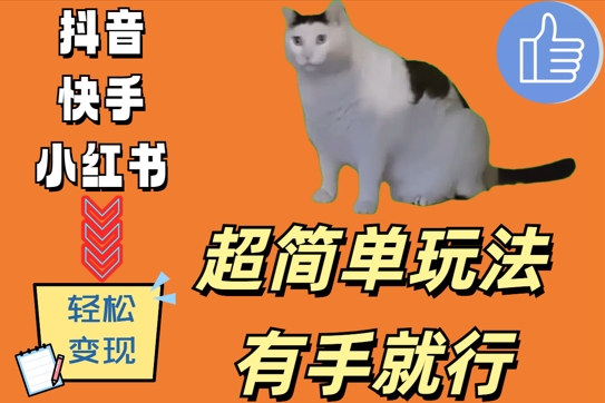 超简单玩法，有手就行，靠猫咪视频日入500+【揭秘】-百货大全