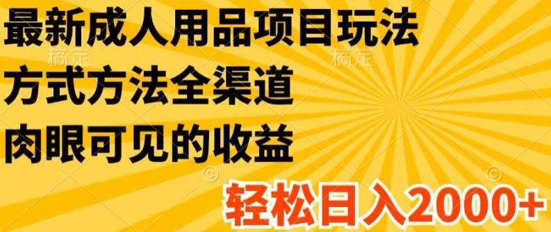最新成人用品项目玩法，方式方法全渠道，轻松日入2K+【揭秘】-百货大全