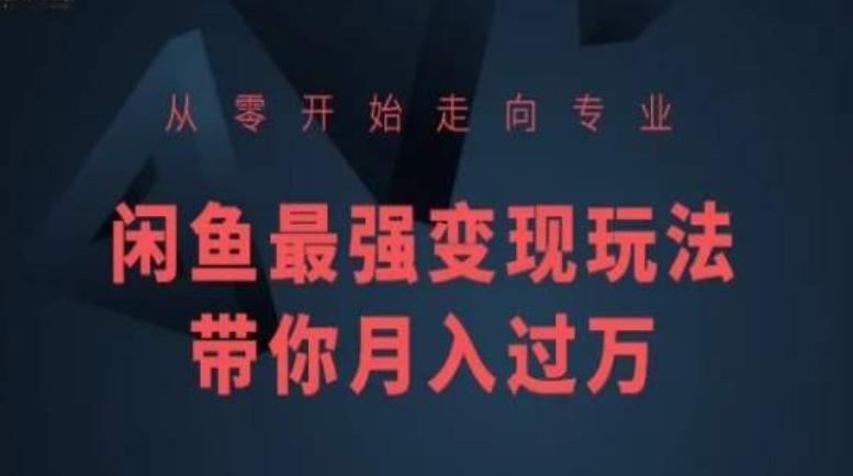 从零开始走向专业，闲鱼最强变现玩法带你月入过万-百货大全