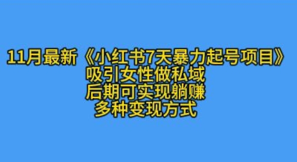 K总部落11月最新小红书7天暴力起号项目，吸引女性做私域【揭秘】-百货大全