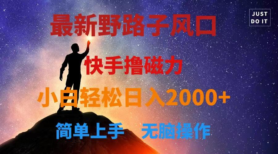 最新风口！快手撸磁力，野路子，小白无脑操作日入2000+-百货大全