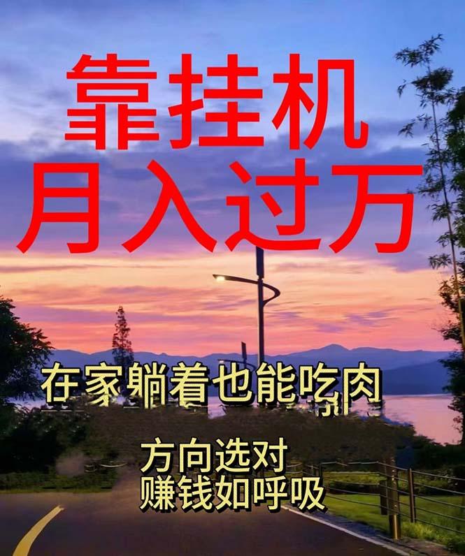 靠挂机，日入1000+，躺着也能吃肉，电脑手机都可挂-百货大全
