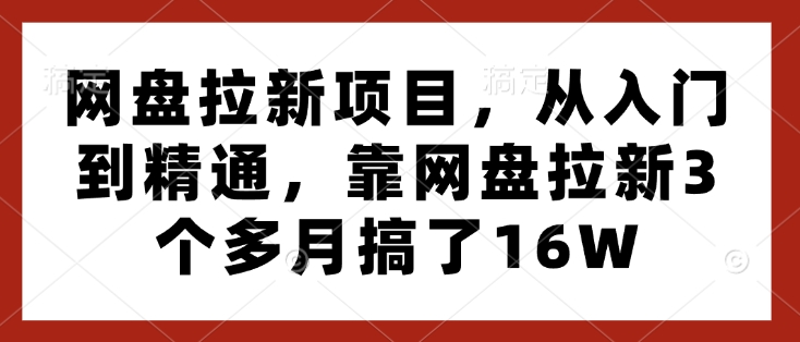 网盘拉新项目，从入门到精通，靠网盘拉新3个多月搞了16W-百货大全