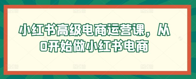 小红书高级电商运营课，从0开始做小红书电商-百货大全