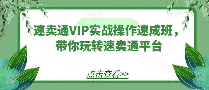 速卖通VIP实战操作速成班，带你玩转速卖通平台-百货大全