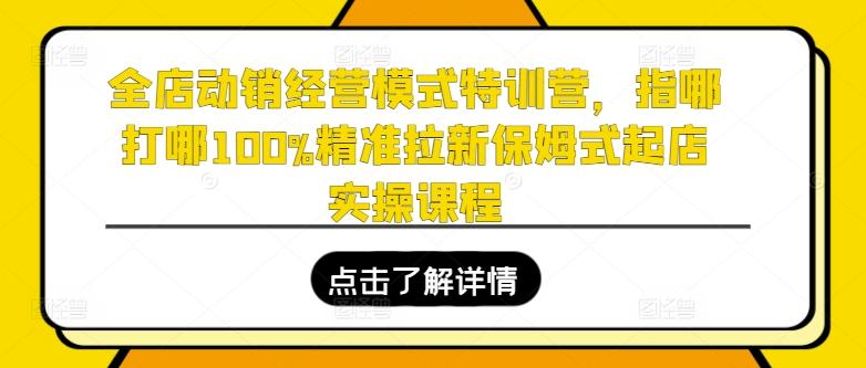 全店动销经营模式特训营，指哪打哪100%精准拉新保姆式起店实操课程-百货大全