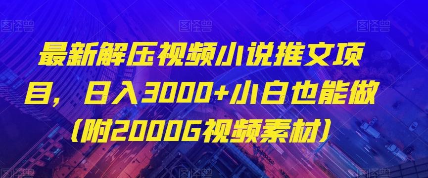 最新解压视频小说推文项目，日入3000+小白也能做（附2000G视频素材）【揭秘】-百货大全
