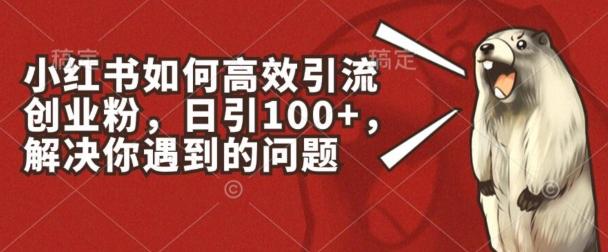 小红书如何高效引流创业粉，日引100+，解决你遇到的问题【揭秘】-百货大全