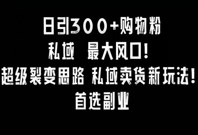 日引300+购物粉，超级裂变思路，私域卖货新玩法，小红书首选副业【揭秘】-百货大全