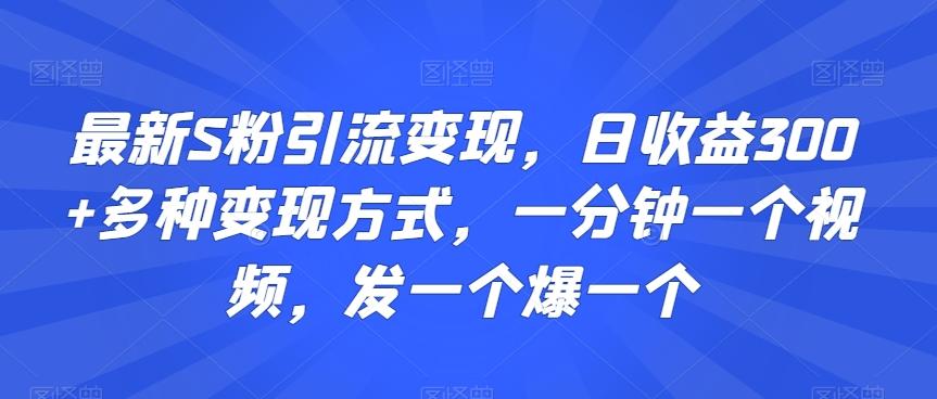 最新S粉引流变现，日收益300+多种变现方式，一分钟一个视频，发一个爆一个【揭秘】-百货大全