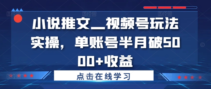 小说推文—视频号玩法实操，单账号半月破5000+收益-百货大全