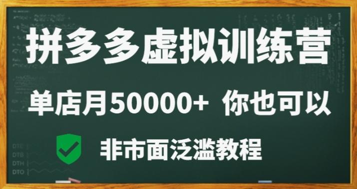 拼多多虚拟电商训练营月入30000+你也行，暴利稳定长久，副业首选-百货大全