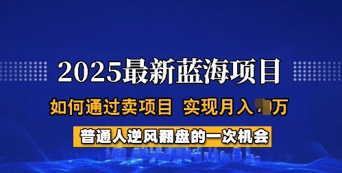 2025蓝海项目，普通人如何通过卖项目，实现月入过W，全过程【揭秘】-百货大全