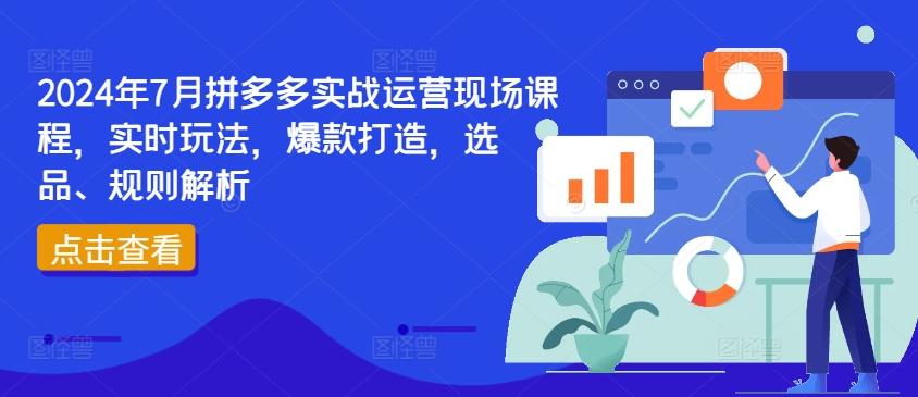 2024年7月拼多多实战运营现场课程，实时玩法，爆款打造，选品、规则解析-百货大全